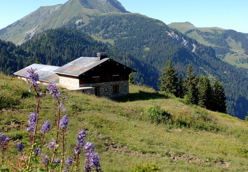 Chatel Mountains