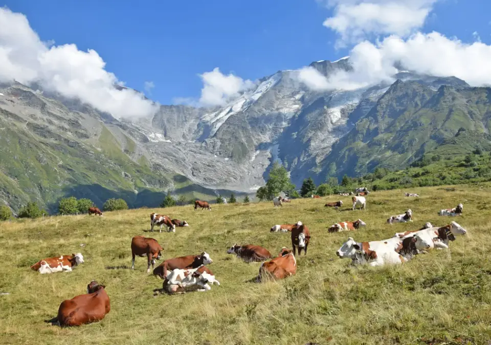 Les Contamines-Mountains.webp