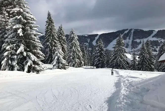Hameau du Beaufortain-Les Saisies-XS educational (2).webp