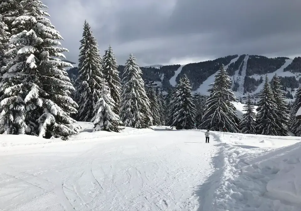 Hameau du Beaufortain-Les Saisies-XS educational (2).webp