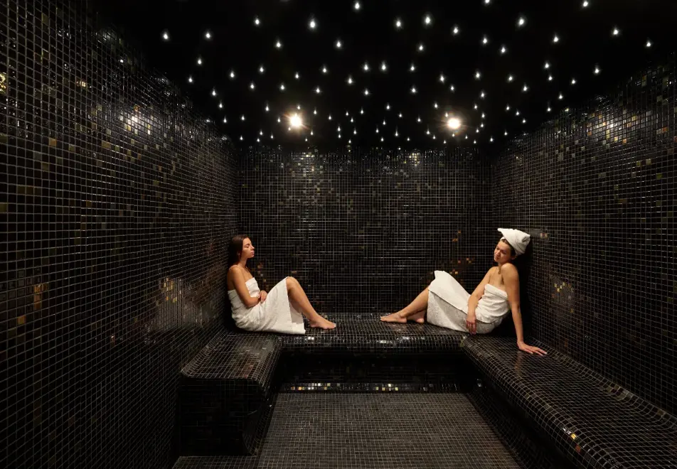 Alpen Valley, Combloux (hotel) - Steam room