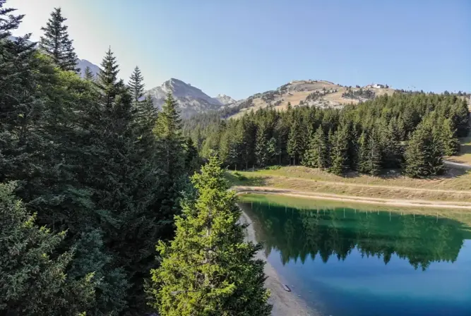 Villard de Lans summer fishing at Lake Preys.webp