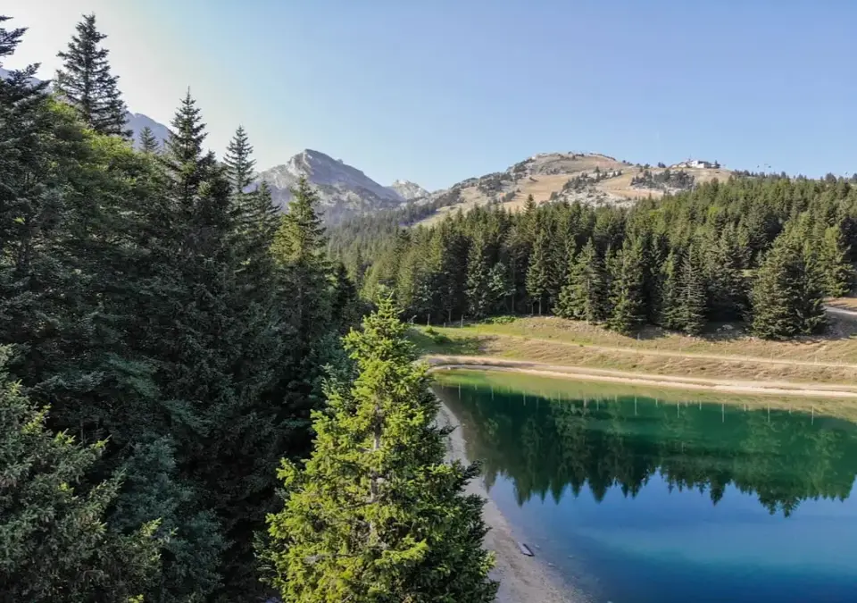 Villard de Lans summer fishing at Lake Preys.webp