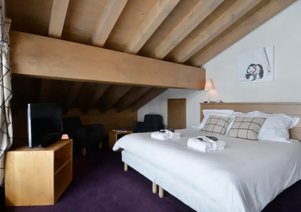 Carlina apatments-Belle Plagne-Typical apartments (7).webp