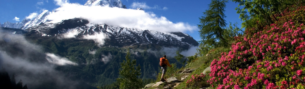 Walking in the French Alps