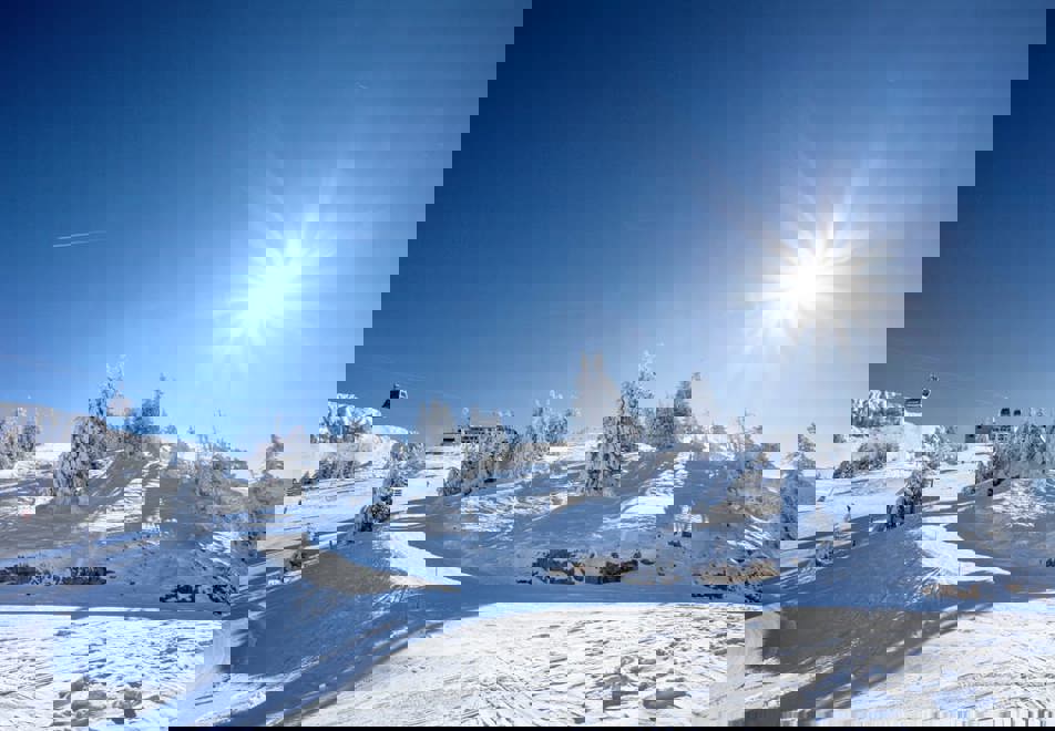 Villard de Lans tree-lined skiing (©CSavary)