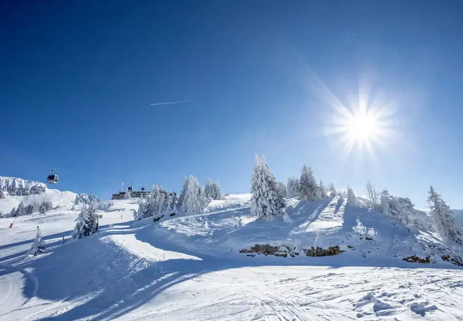 Villard de Lans tree-lined skiing (©CSavary)