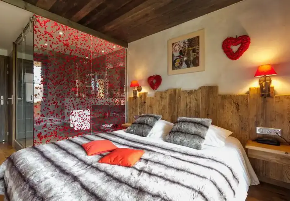 Cote Brune, Les 2 Alpes (hotel) - Typical superior south facing with shower