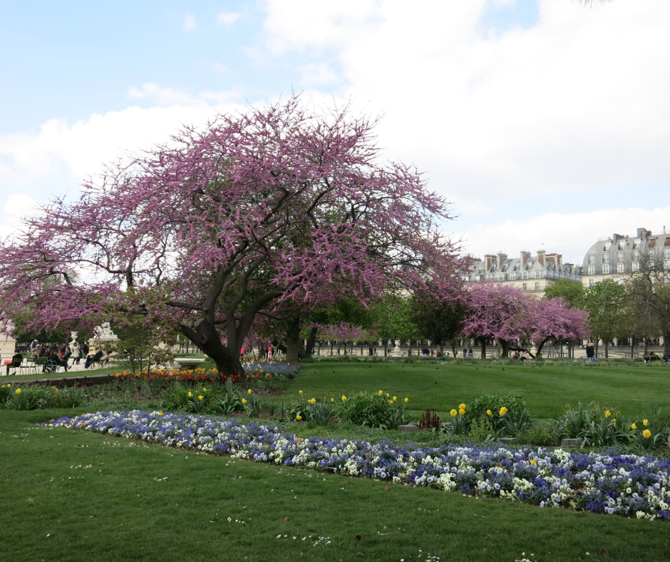 Garden Paris