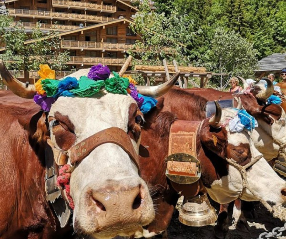 Reblochon Le Grand Bornand La Fete de l'Alpage (2).png