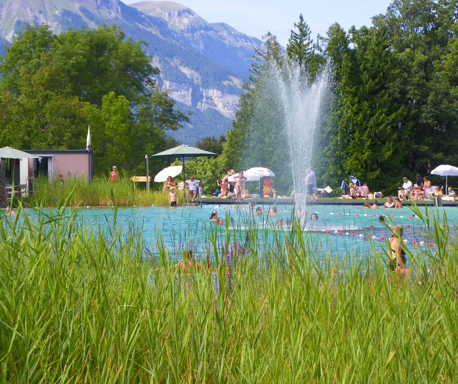 Combloux ecological lake.png