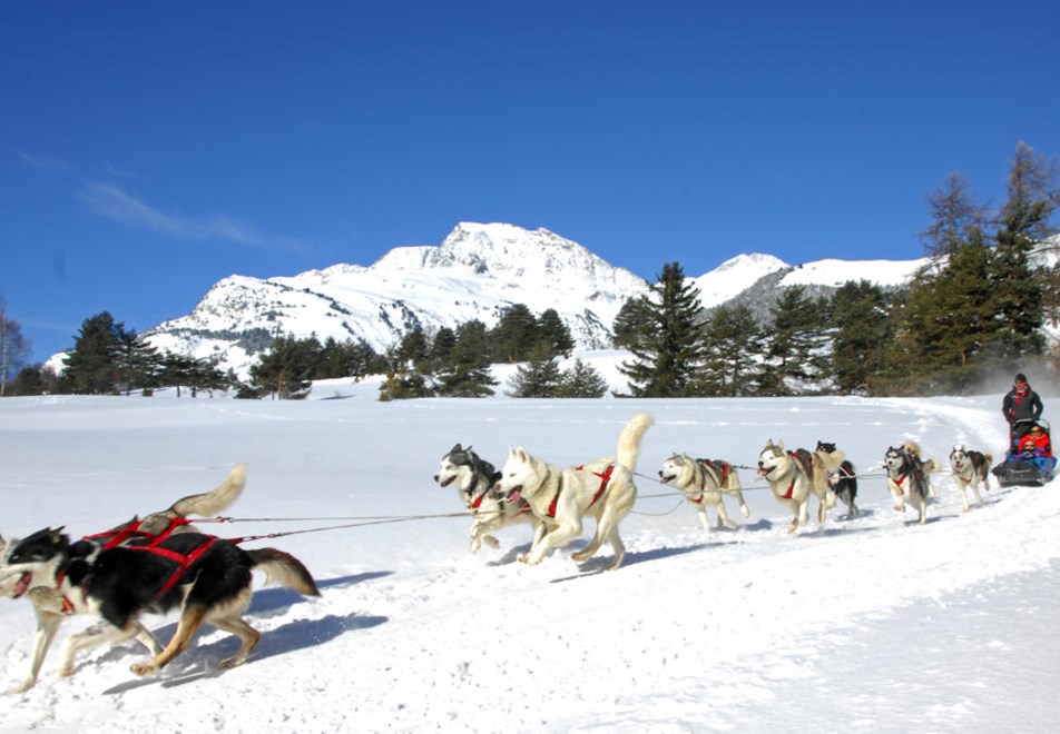 Aussois Ski Resort - Husky adventures in Maurienne Valley