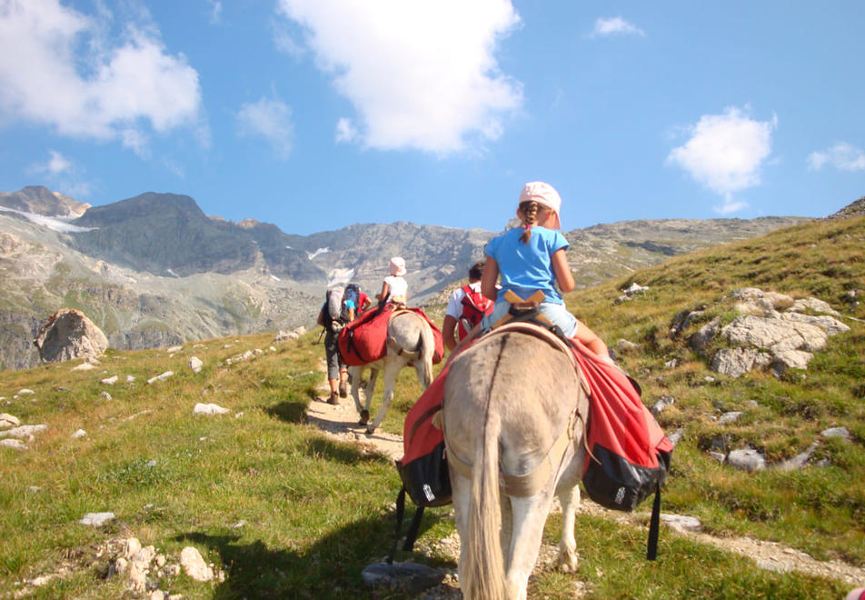 Les Arcs Resort - Horse riding