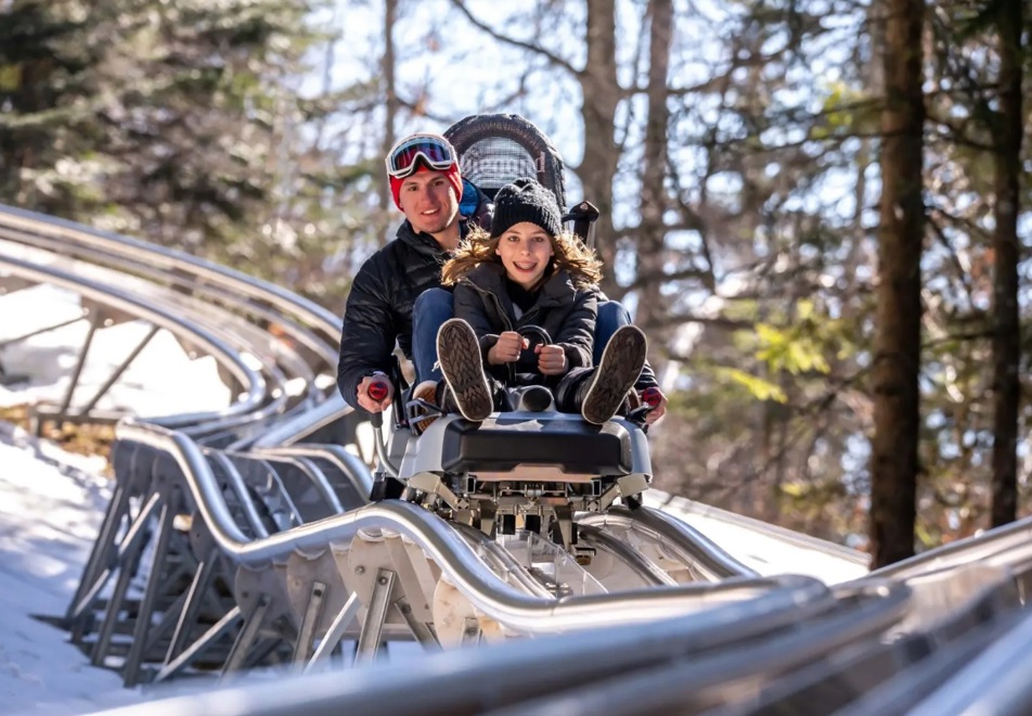 Les Carroz Ski Resort - Mountain coaster