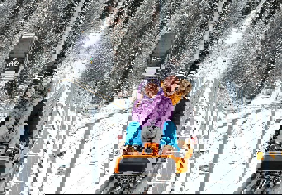 Les Carroz Ski Resort - Mountain coaster