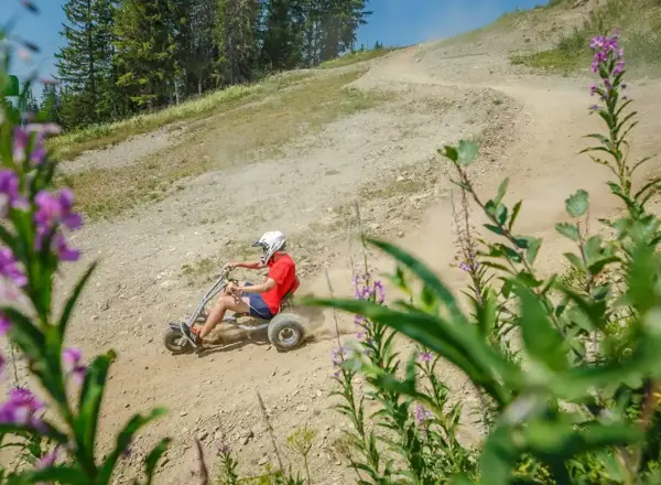 Les Carroz Village - Mountain kart