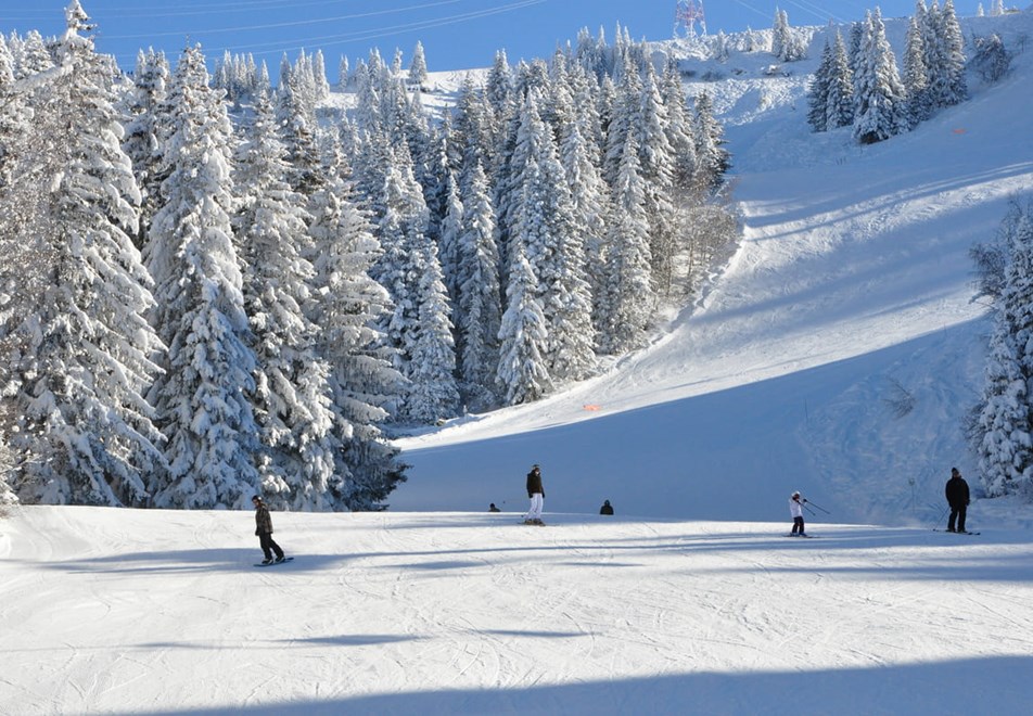 Les Carroz Ski Resort