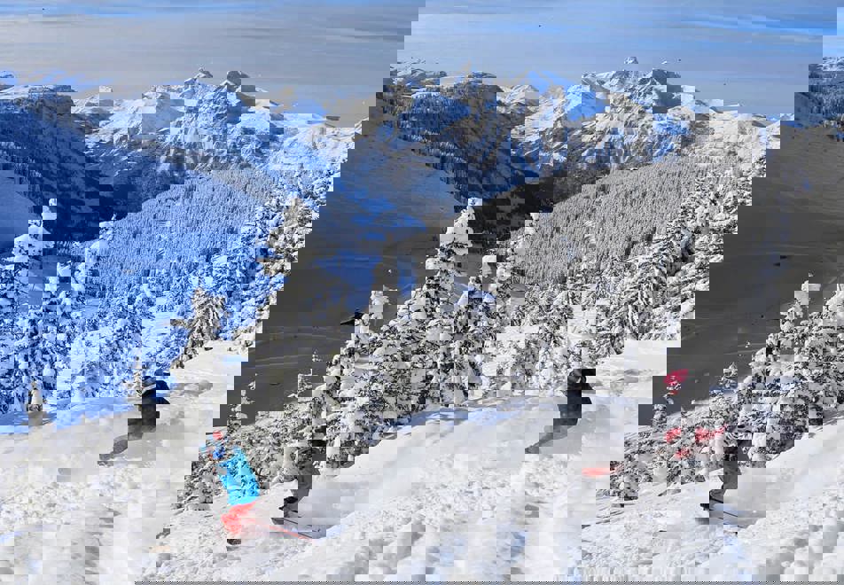 Les Carroz Ski Resort - Freeride