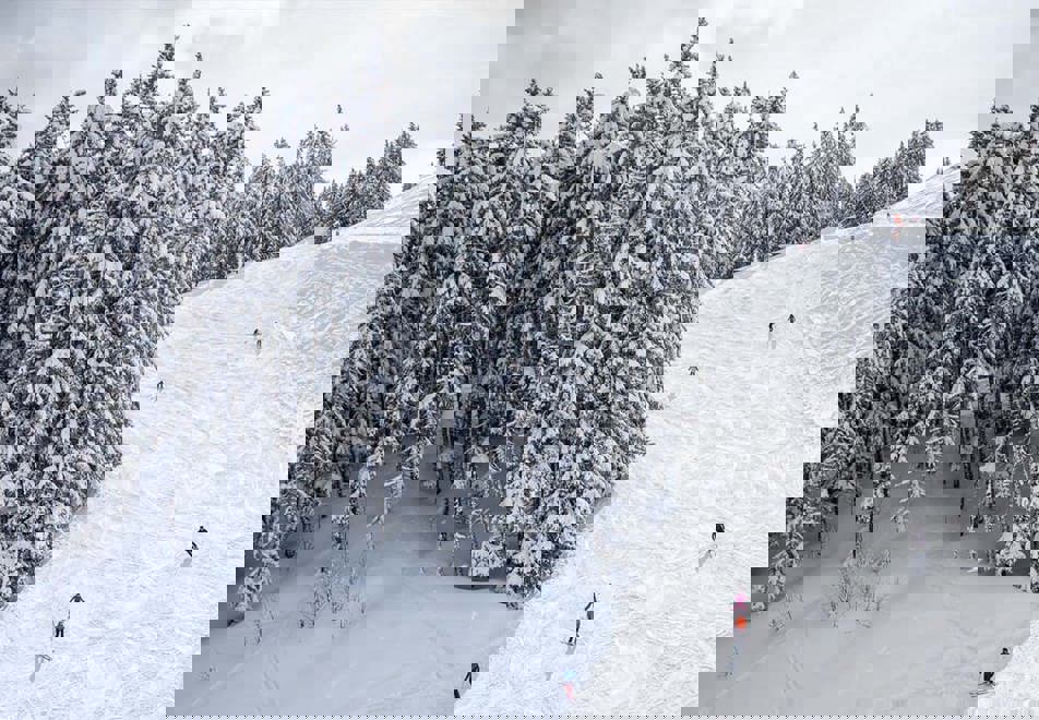 Ski area of Megeve