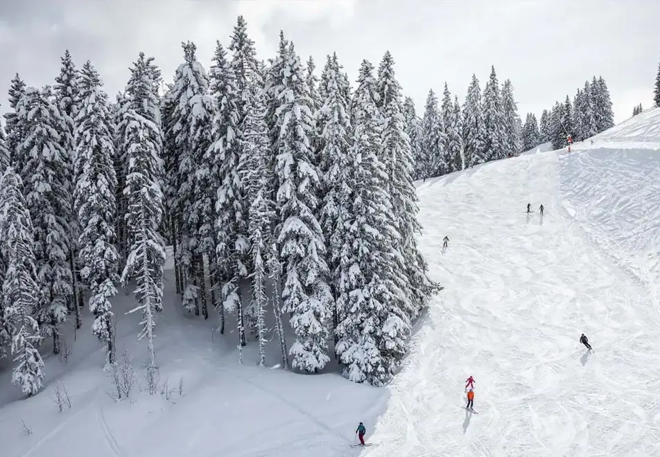 Ski area of Megeve