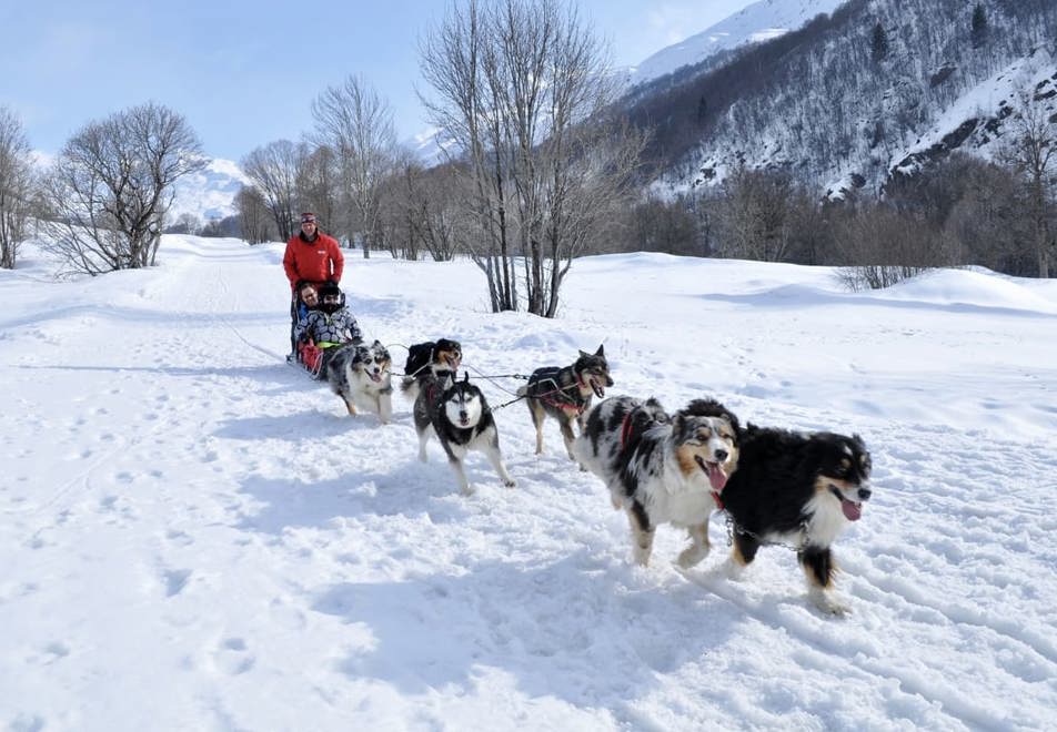 St Martin de Belleville Ski Resort (©Cyril_Cousin) - Dog sledding