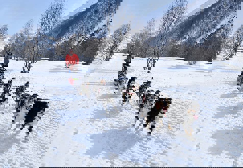 St Martin de Belleville Ski Resort (©Cyril_Cousin) - Dog sledding