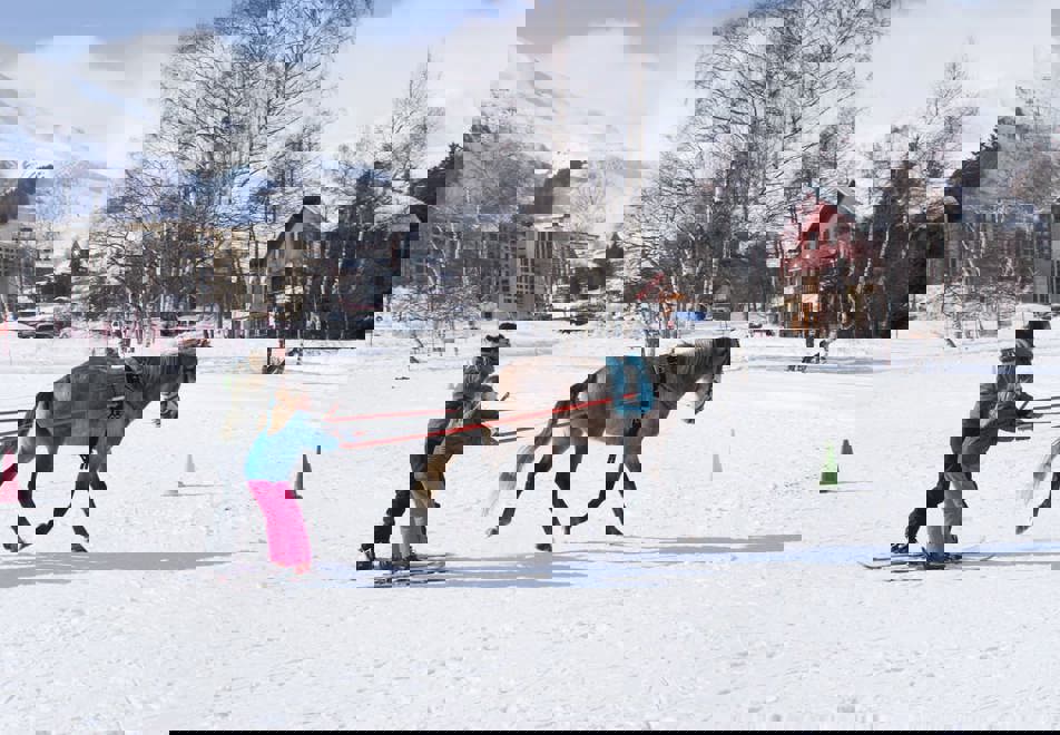 La Toussuire Ski Resort (©clic-clac photo) - Ski Joering