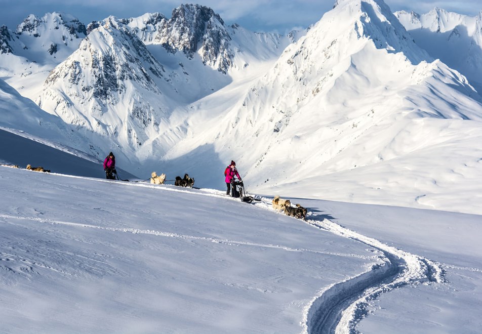 Champagny Ski Resort - Dog sledding