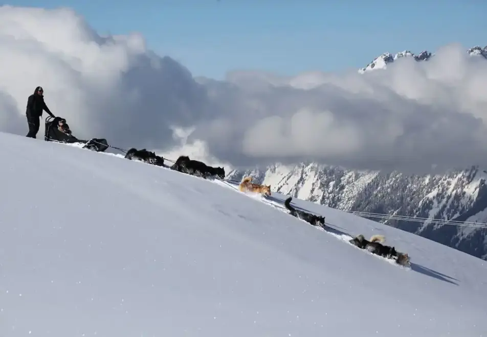 La Plagne Ski Resort - Dog sledding (©m.bernal)