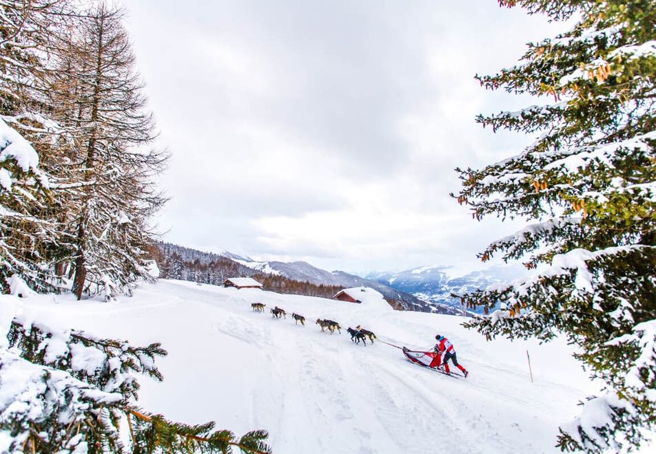 La Plagne Ski Resort - Dog sledding (©vincent-piccerelle)