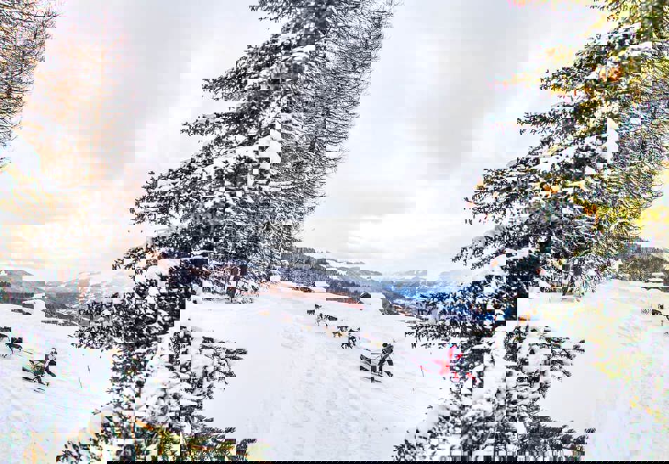 La Plagne Ski Resort - Dog sledding (©vincent-piccerelle)