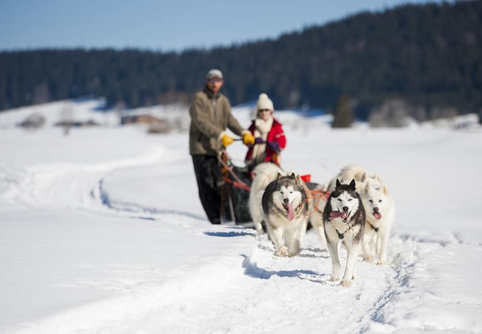 Samoens Ski Resort - Dog sledding