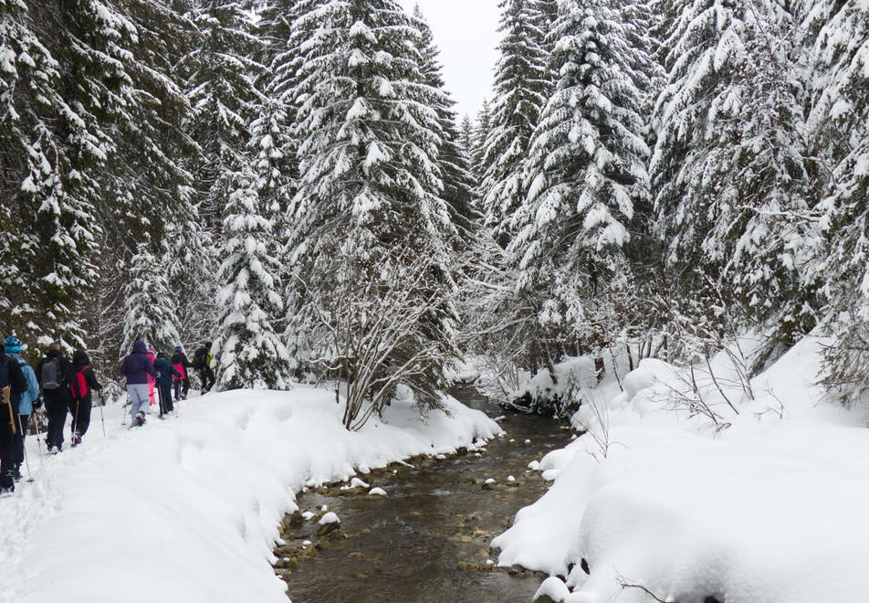 Samoens Ski Resort - Snowshoeing