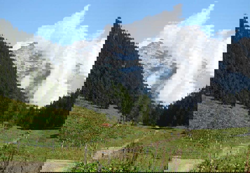 Samoens Village - Beautiful lush mountains