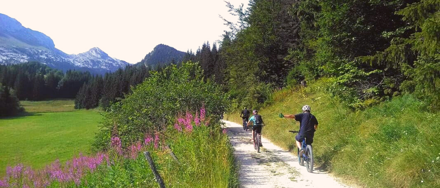 Biking in Villard de Lans summer.png