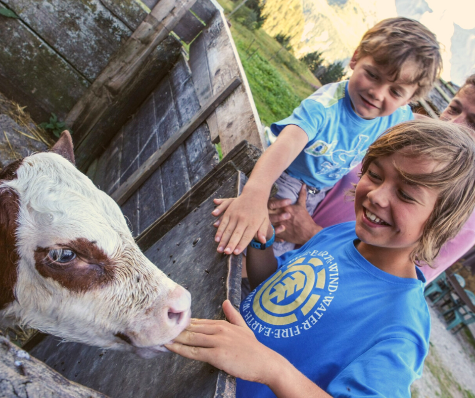 Farm visit Le Grand Bornand.png