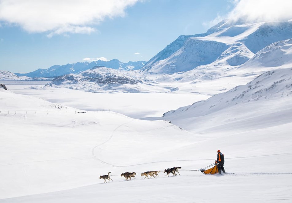 Val Cenis Ski Resort (©Husky Adventure) - Dog sledding