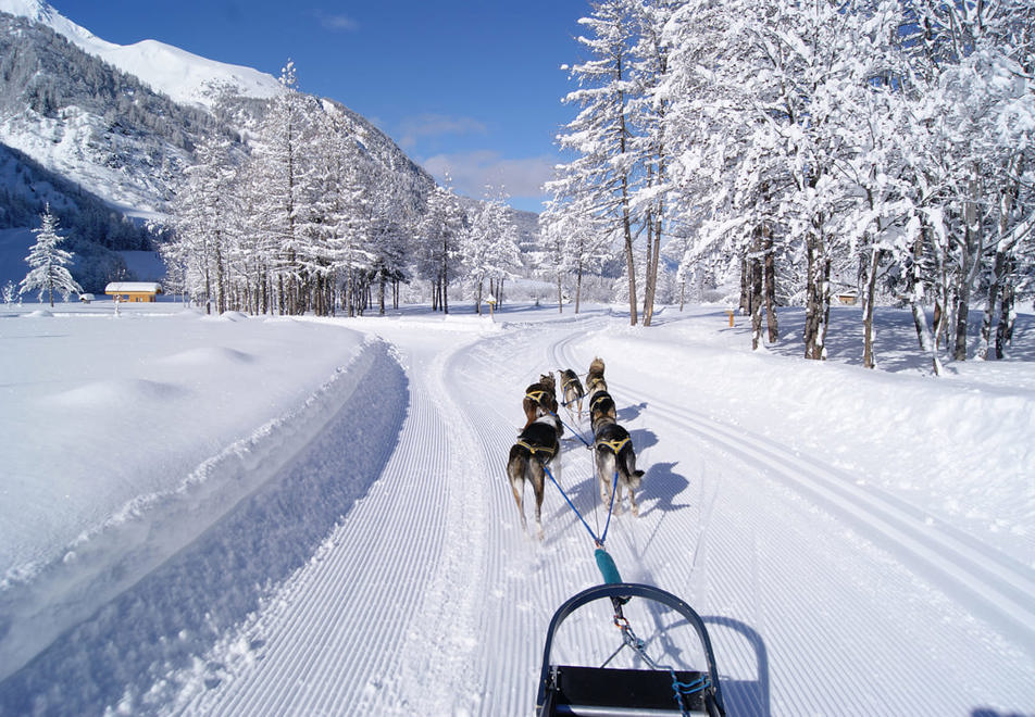 Peisey Vallandry Ski Resort - Dog sledding