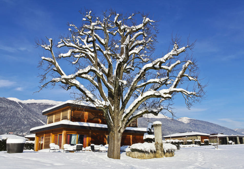 Jiva Hill Resort, Jura (Hotel)