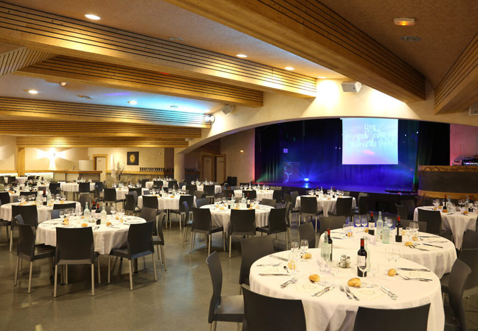 Le Cret, Morzine (hotel) - Theatre room