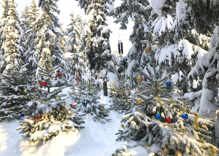 La Rosiere Review Peak Retreats LC1 (1)
