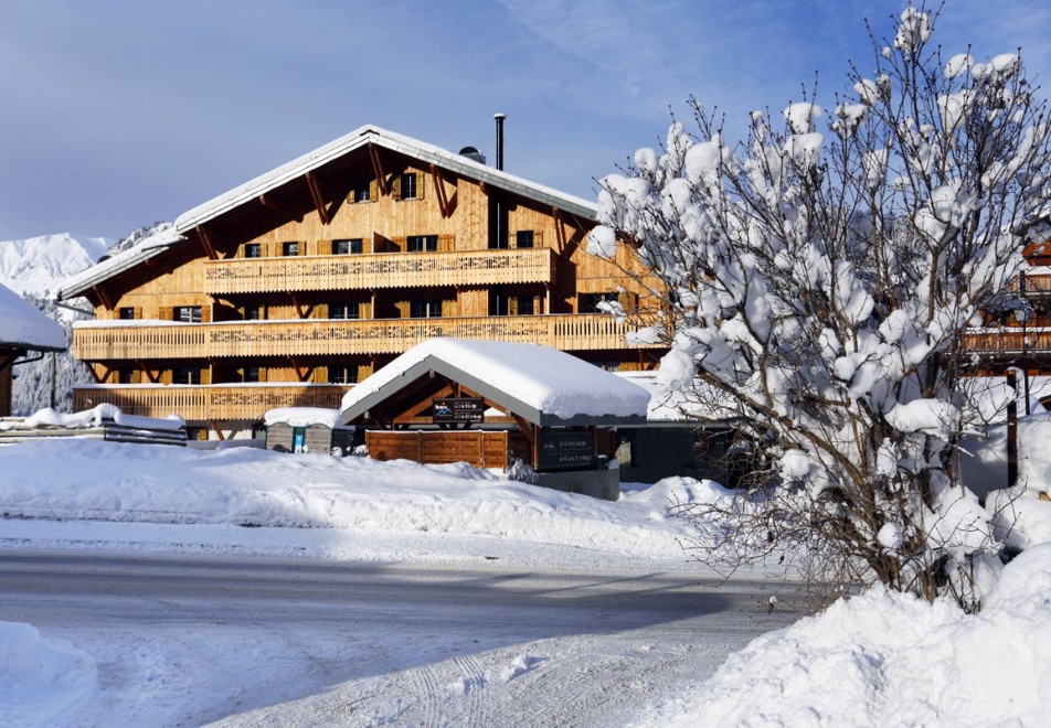 Grand Ermitage, Chatel (self catered apartments)