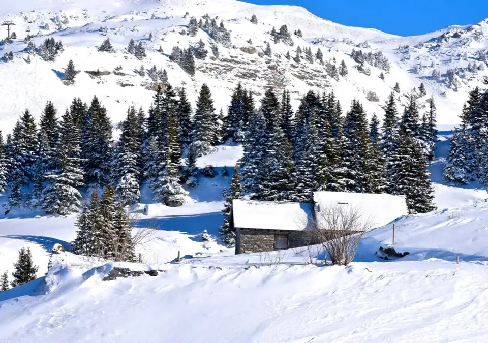 Chatel-jf-vuarand-4-9718 (1).webp