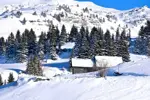 Chatel-jf-vuarand-4-9718 (1).webp