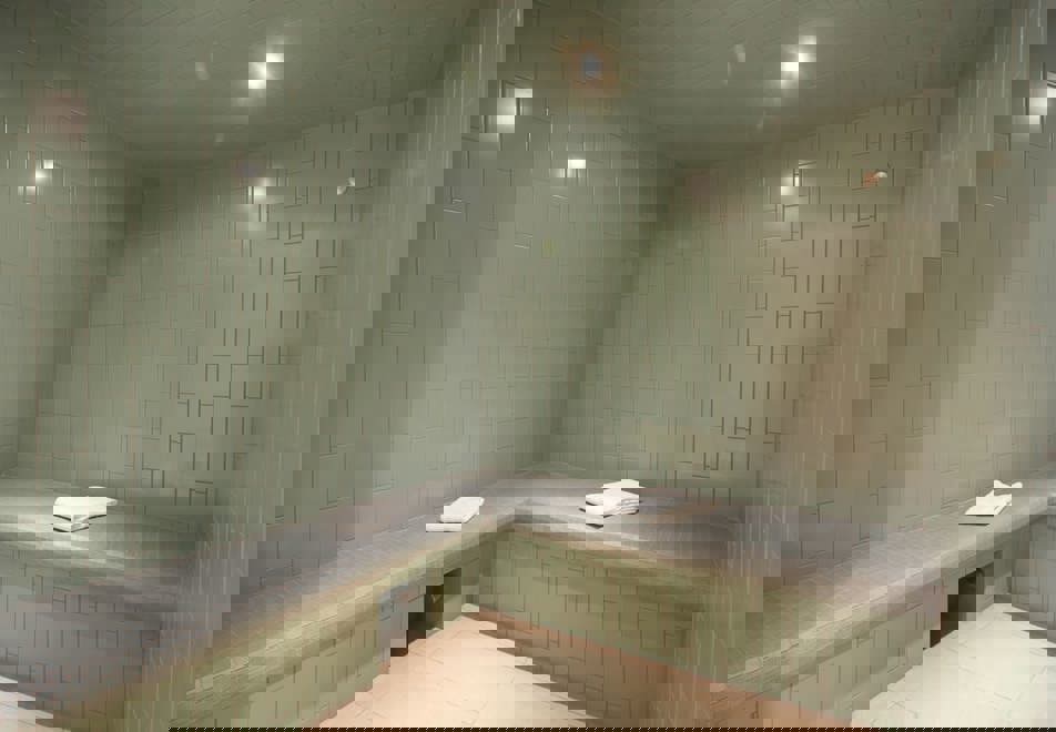 Le Hameau, Les Deux Alpes (self catered apartments) - Steam room