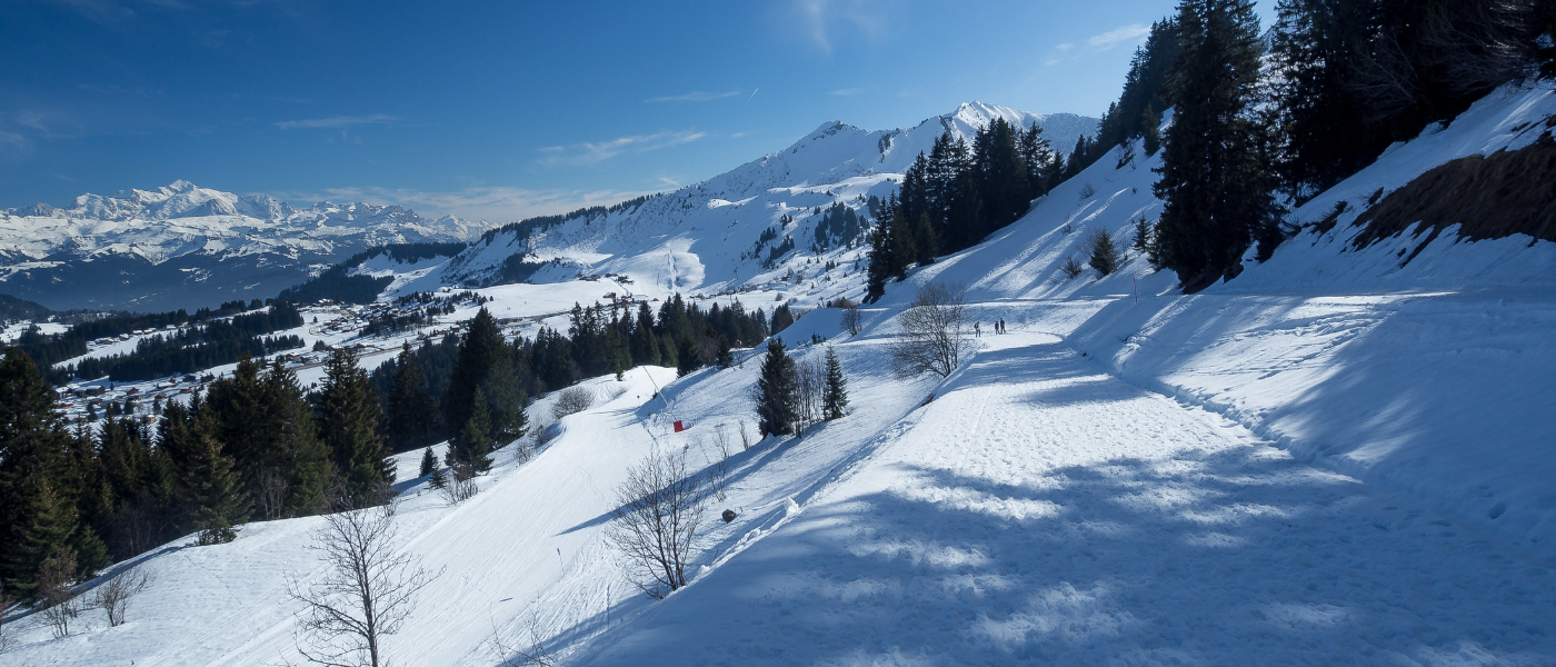 Praz De Lys (1)