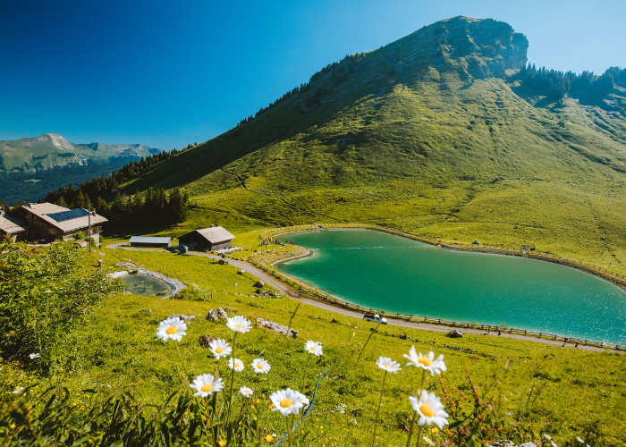 Morzine Summer