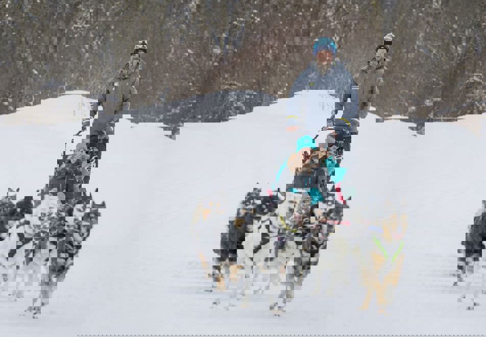 Val Thorens ski resort, 3 Valleys (France) - Dog sledding