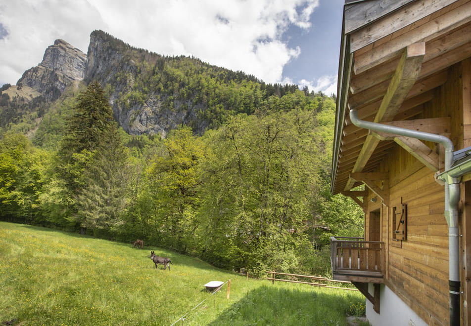 Le Pre de Anne Chloe, Samoens (self catering apartments) - Beautiful views (©Manureyboz)