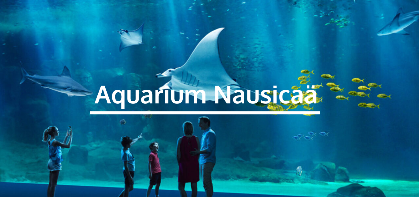 7 Nausica